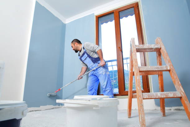 Best Black Mold Removal  in Fayetteville, TN