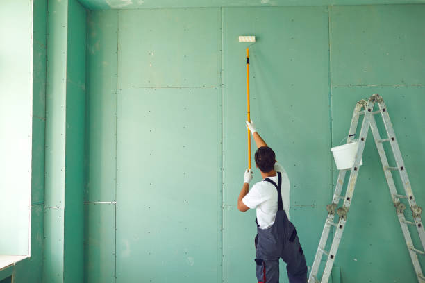 Mold Odor Removal Services in Fayetteville, TN