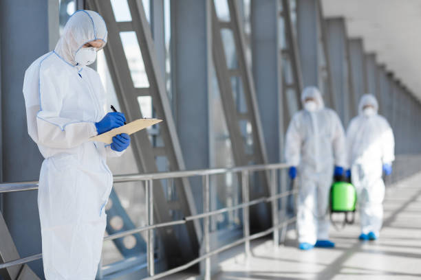 Best Mold Odor Removal Services  in Fayetteville, TN