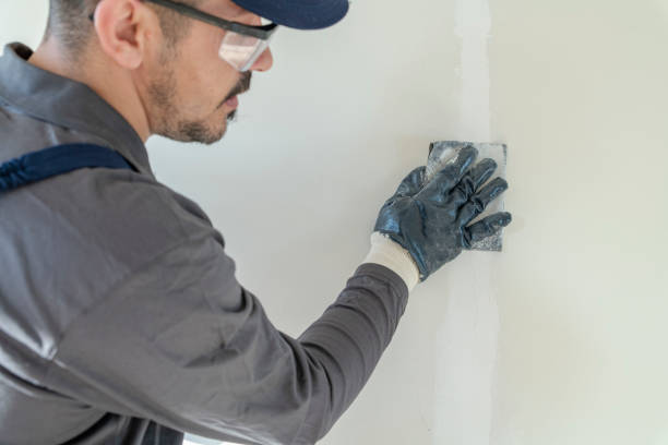 Best Emergency Mold Remediation  in Fayetteville, TN