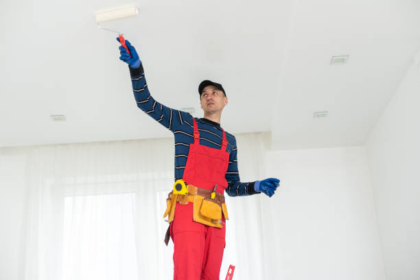 Best Water Damage & Mold Remediation  in Fayetteville, TN