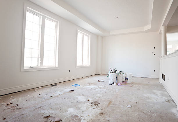 Best Basement Mold Removal  in Fayetteville, TN