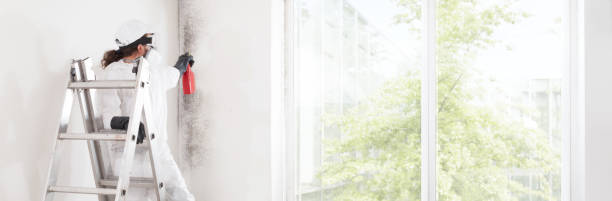 Best Indoor Air Quality Assessment  in Fayetteville, TN