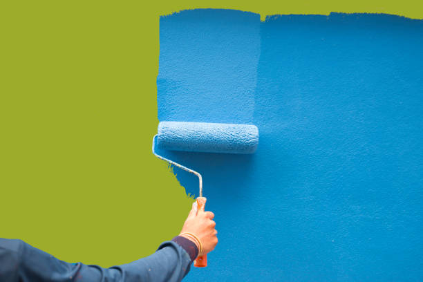 Best Mold Damage Restoration  in Fayetteville, TN