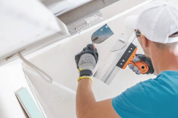 Best Mold Prevention Services  in Fayetteville, TN